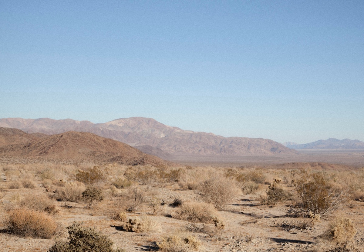 Yucca Valley